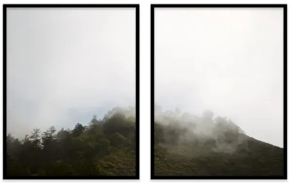 Alex Hoerner, Big Sur Diptych Photograph