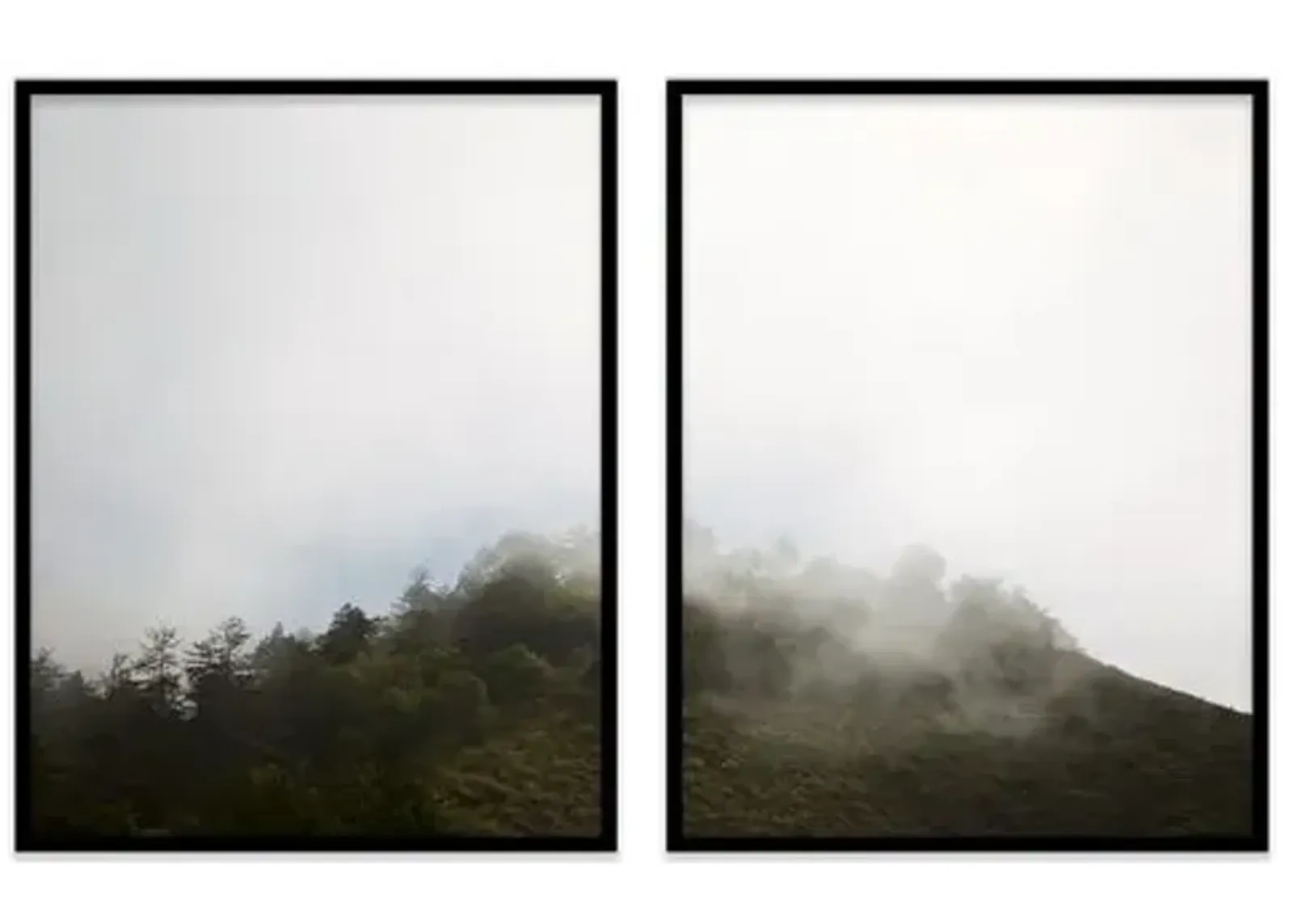 Alex Hoerner - Big Sur Diptych - Blue