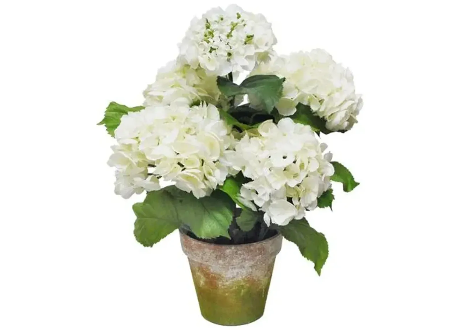 22" Five Blossom Hydrangea with Pot - Faux - Handcrafted - White