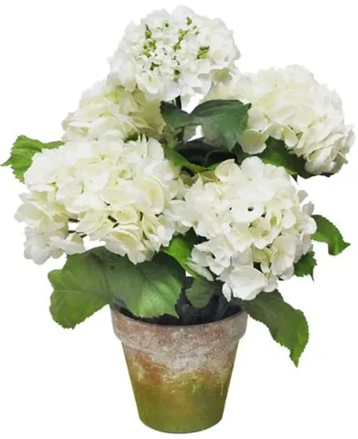 22" Five Blossom Hydrangea with Pot - Faux - Handcrafted - White