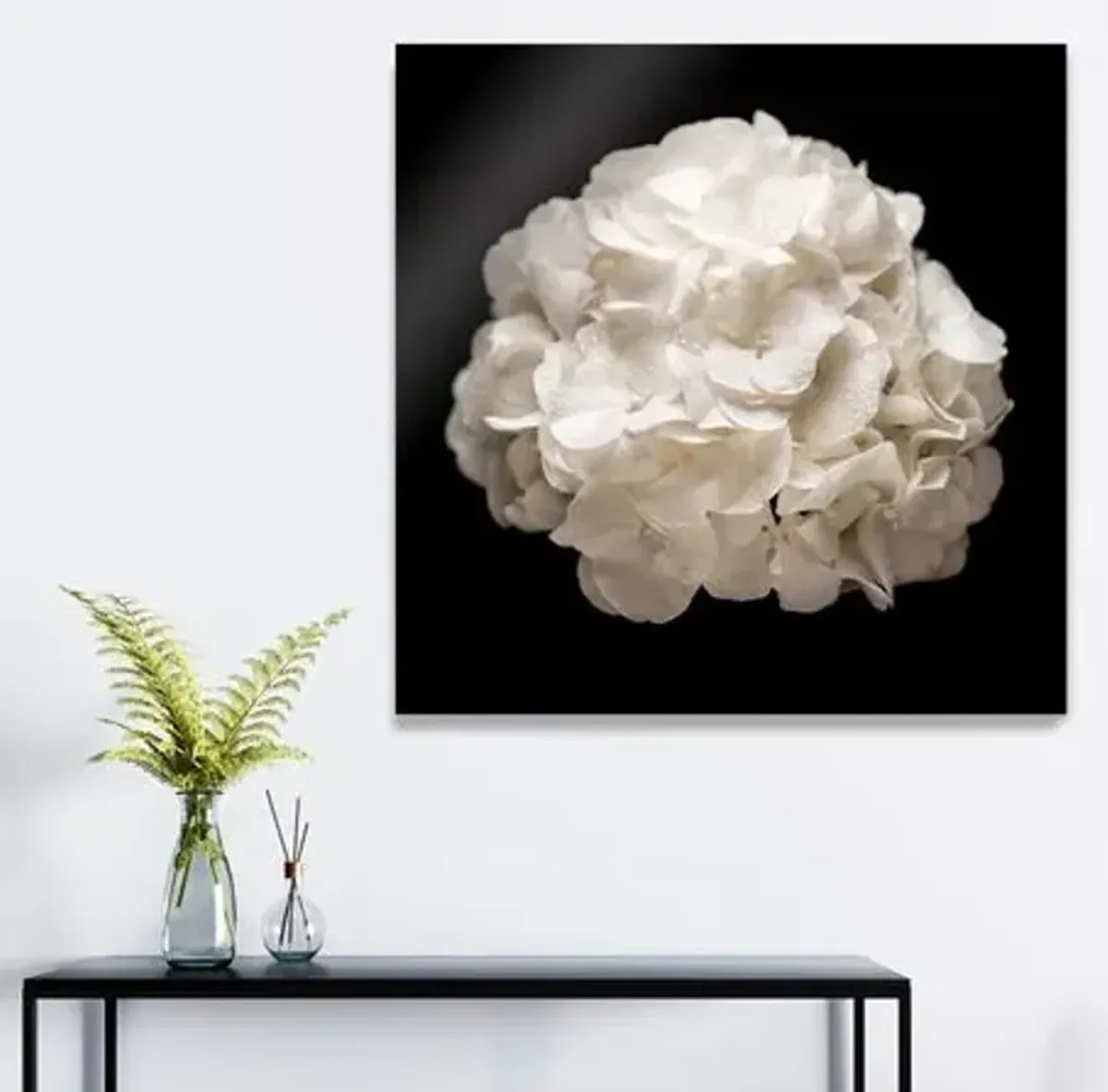 James Ogilvy - White Hydrangea - Black