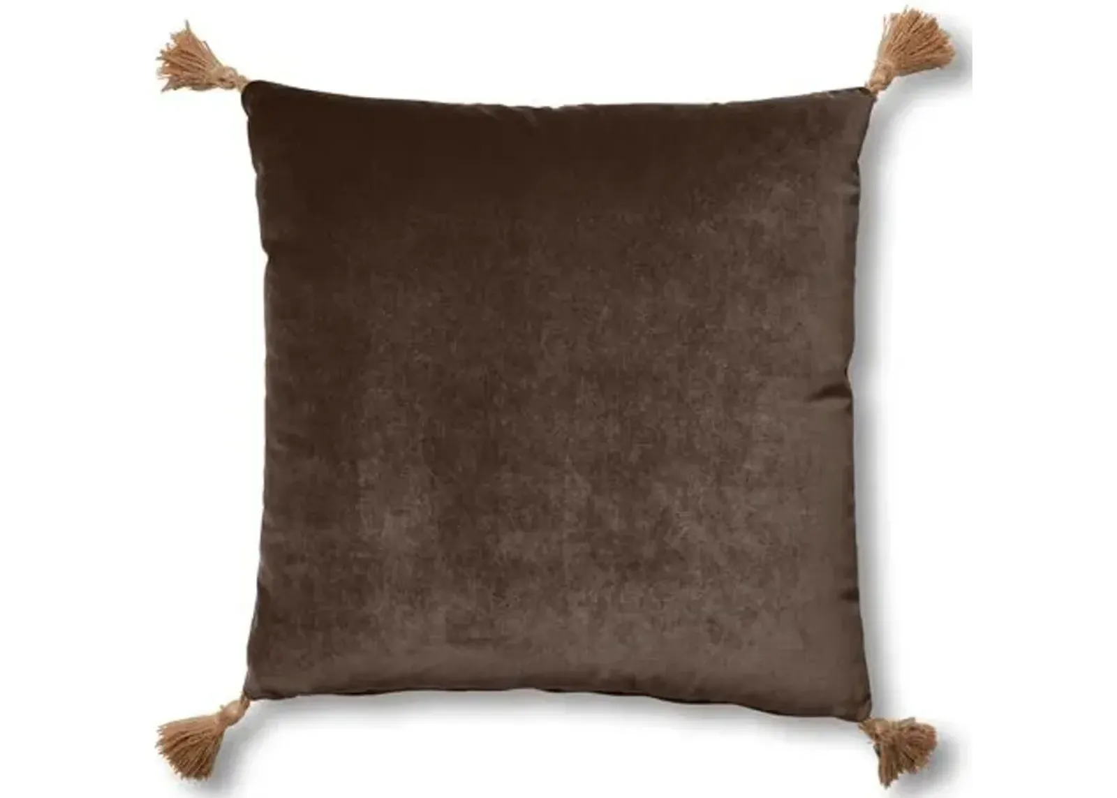 Lou 19x19 Pillow - Café Velvet