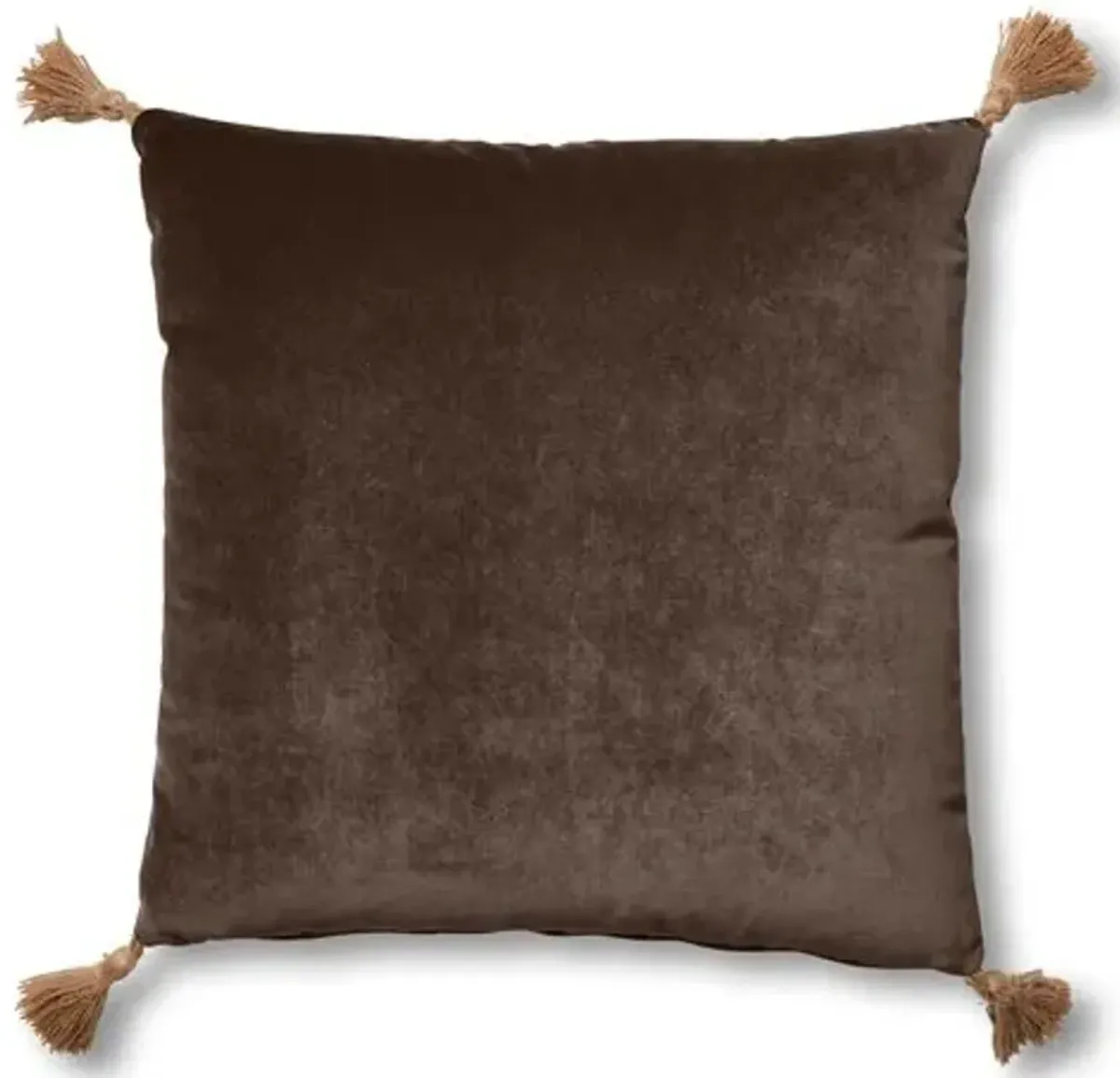 Lou 19x19 Pillow - Café Velvet