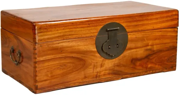 Chinese Antique Elmwood Blanket Chest - FEA Home - Brown
