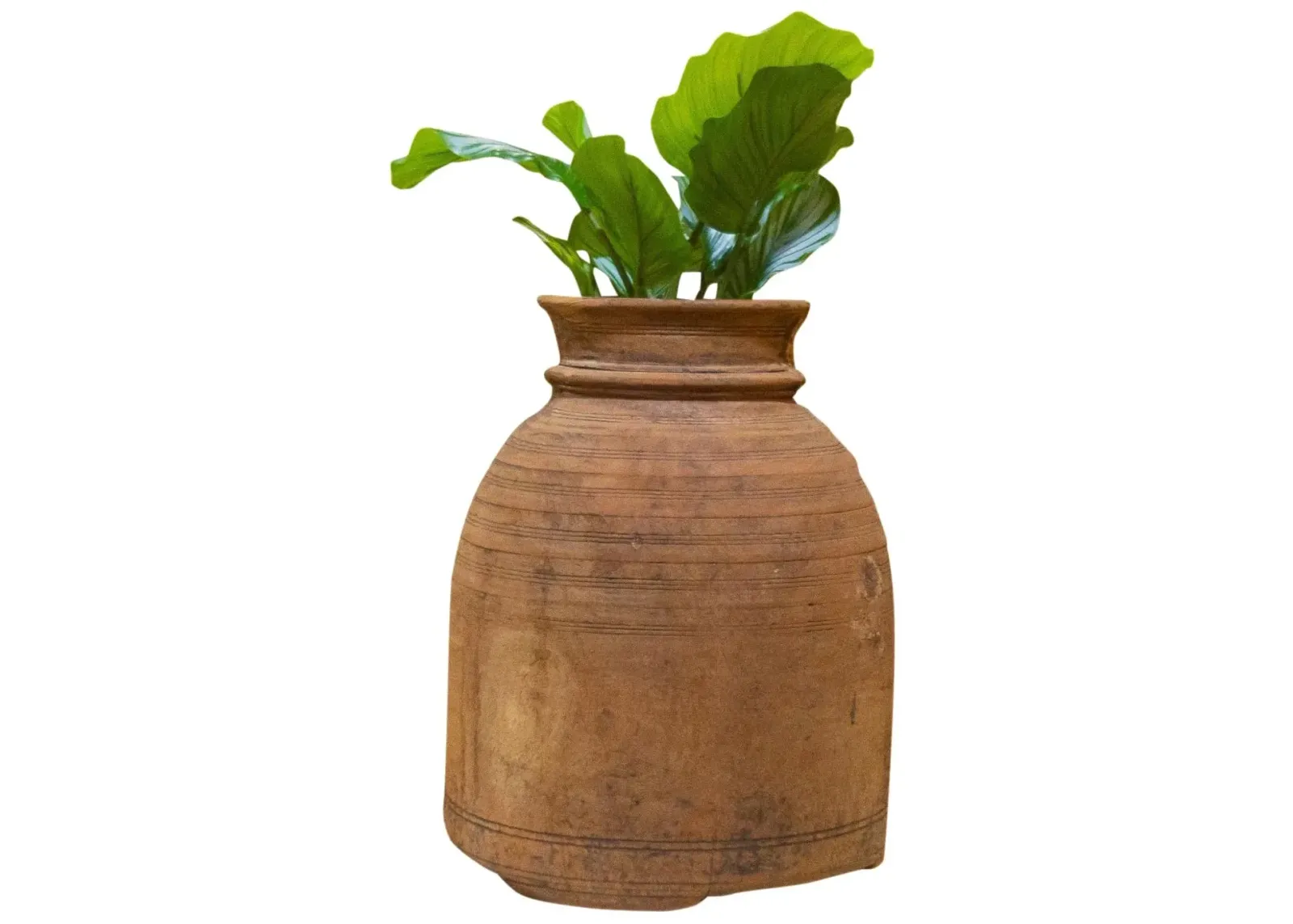 Bahi Nepalese Tribal Ghee Outdoor Pot - de-cor - Brown