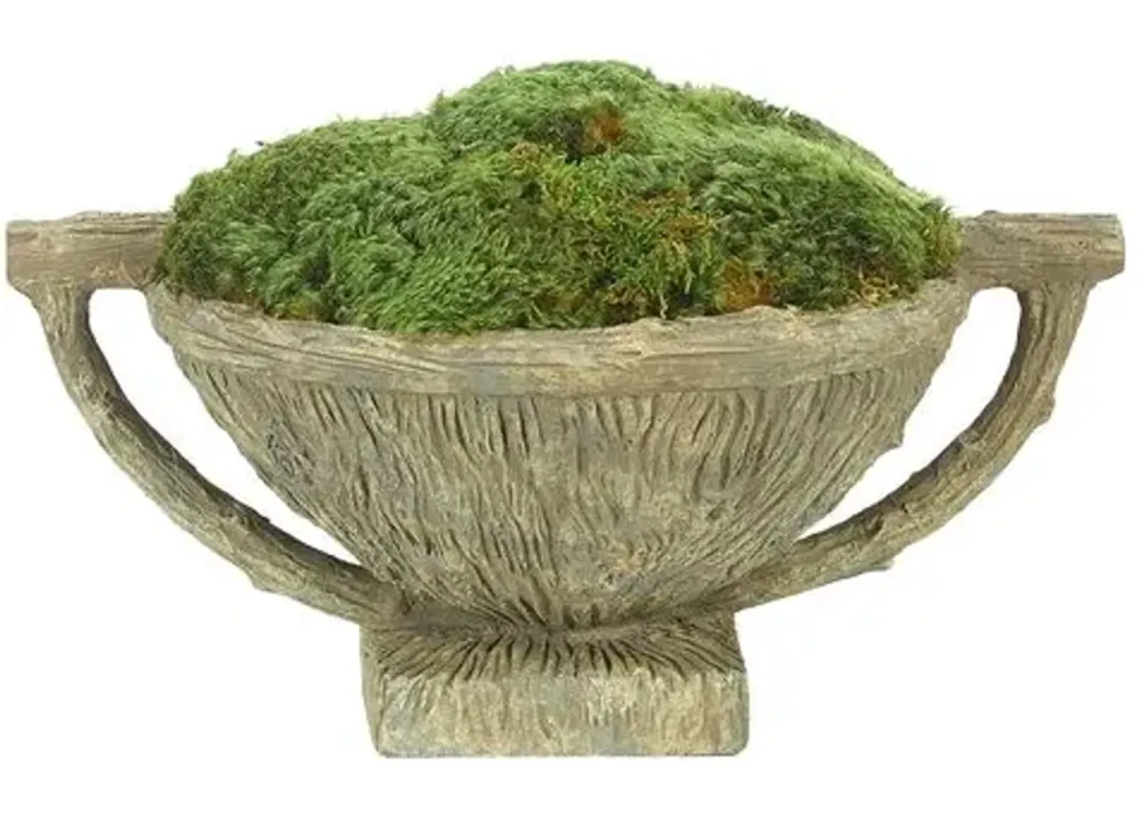 16" Moss Mound in Faux Bois Bowl - Preserved - NDI - Green