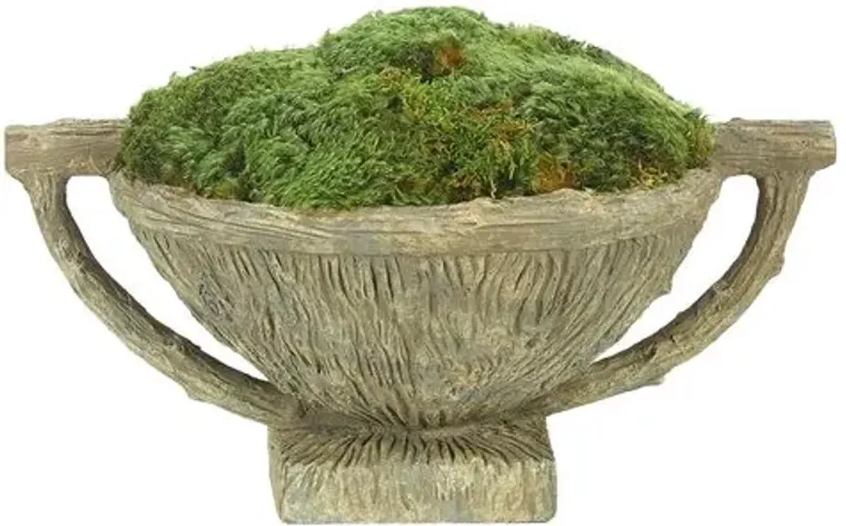 16" Moss Mound in Faux Bois Bowl - Preserved - NDI - Green