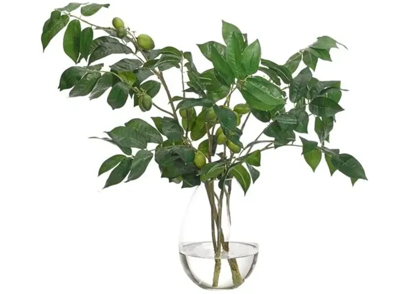 22" Olive Branch in Teardrop Vase - Faux - NDI - Handcrafted - Green