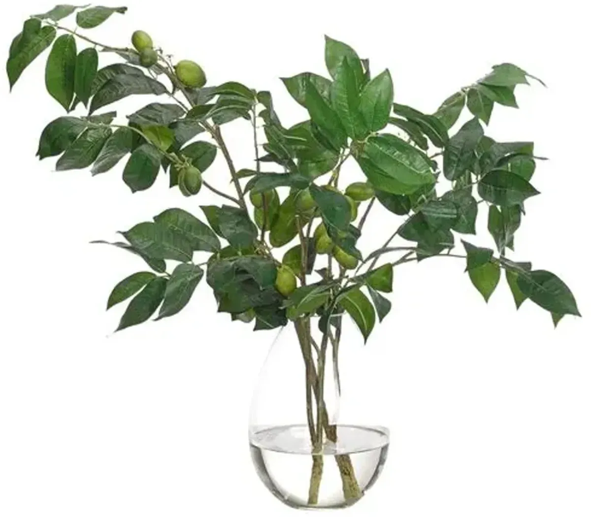 22" Olive Branch in Teardrop Vase - Faux - NDI - Handcrafted - Green