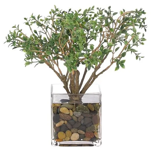 13" Cotoneaster in Cube Vase - Faux - NDI - Handcrafted - Green