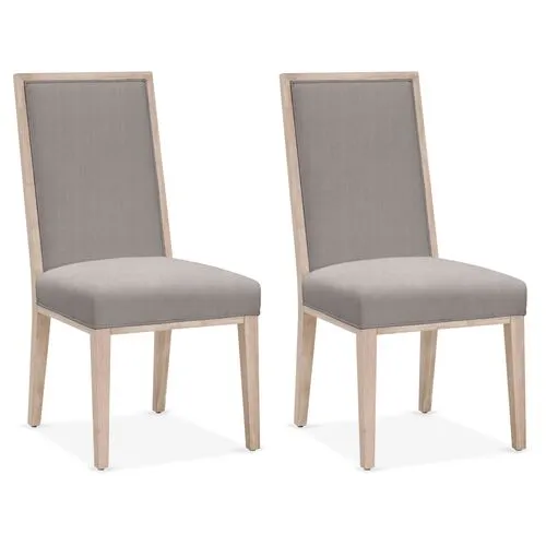 Set of 2 Performance Armel Side Chairs - Slate - Gray