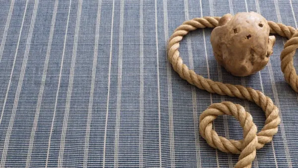 Samson Indoor/Outdoor Rug