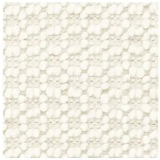 Hooper Handwoven Rug - DASH & ALBERT - Ivory - Ivory