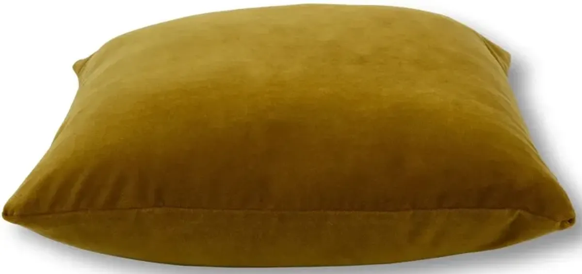 Talbot 20x20 Pillow, Ochre Velvet