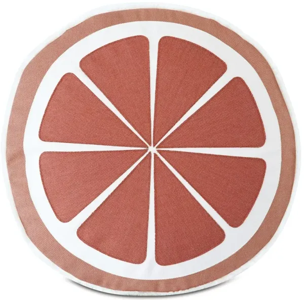 Citrus Outdoor Pillow, Melon