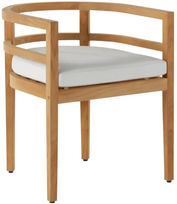 Santa Barbara Outdoor Barrel-Back Chair, Natural Teak