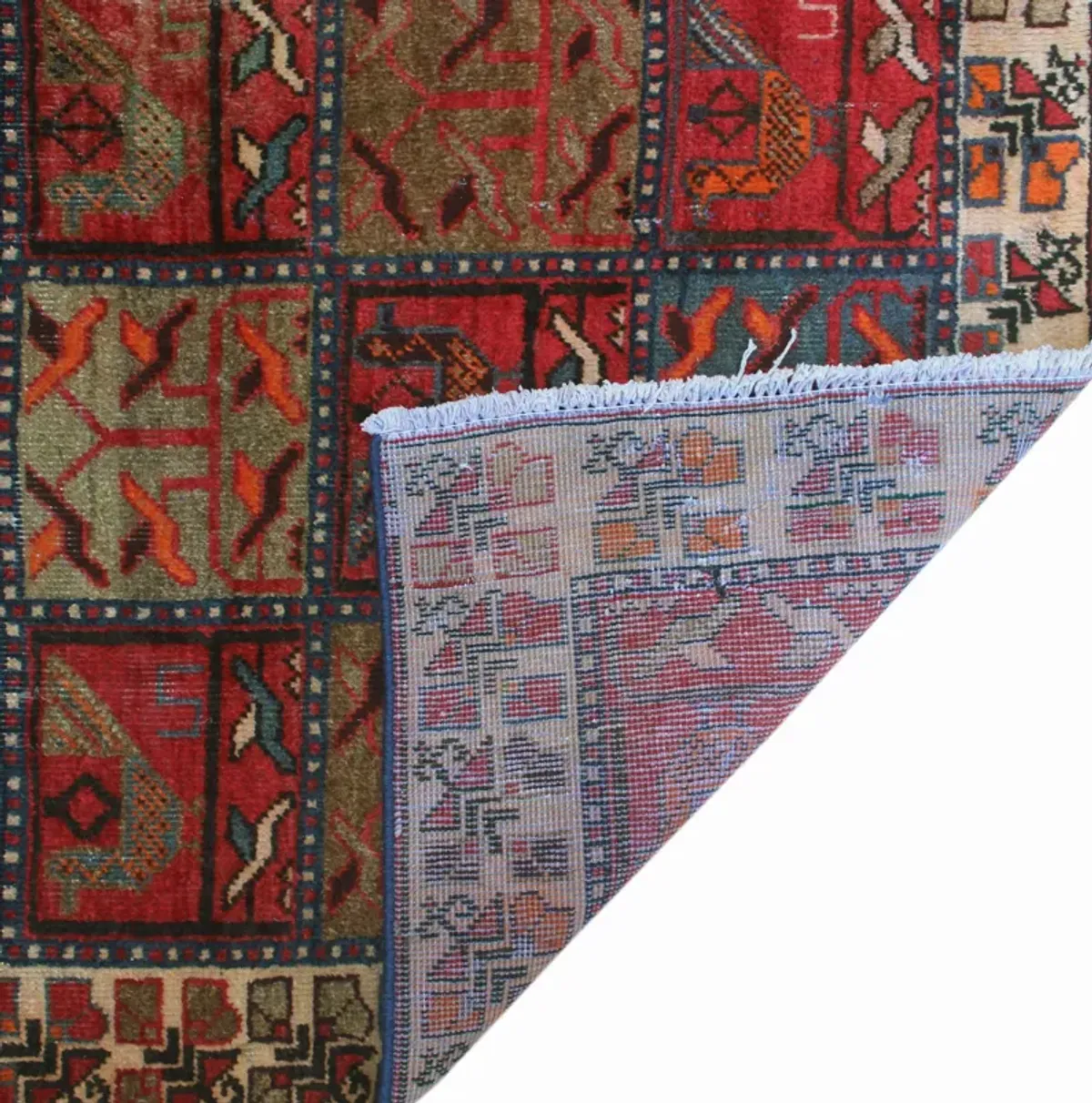 Balochi Runner - 4'9 x 9'1 - Noori Rug - Red - Red