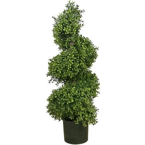 Boxwood Spiral Tree - Green