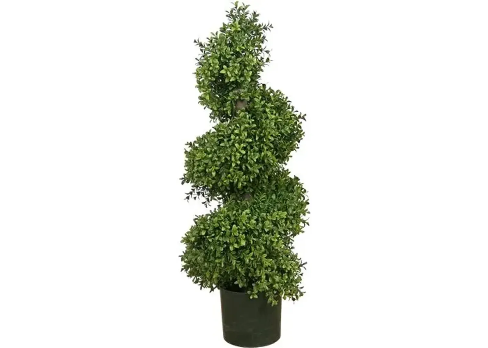 Boxwood Spiral Tree - Green