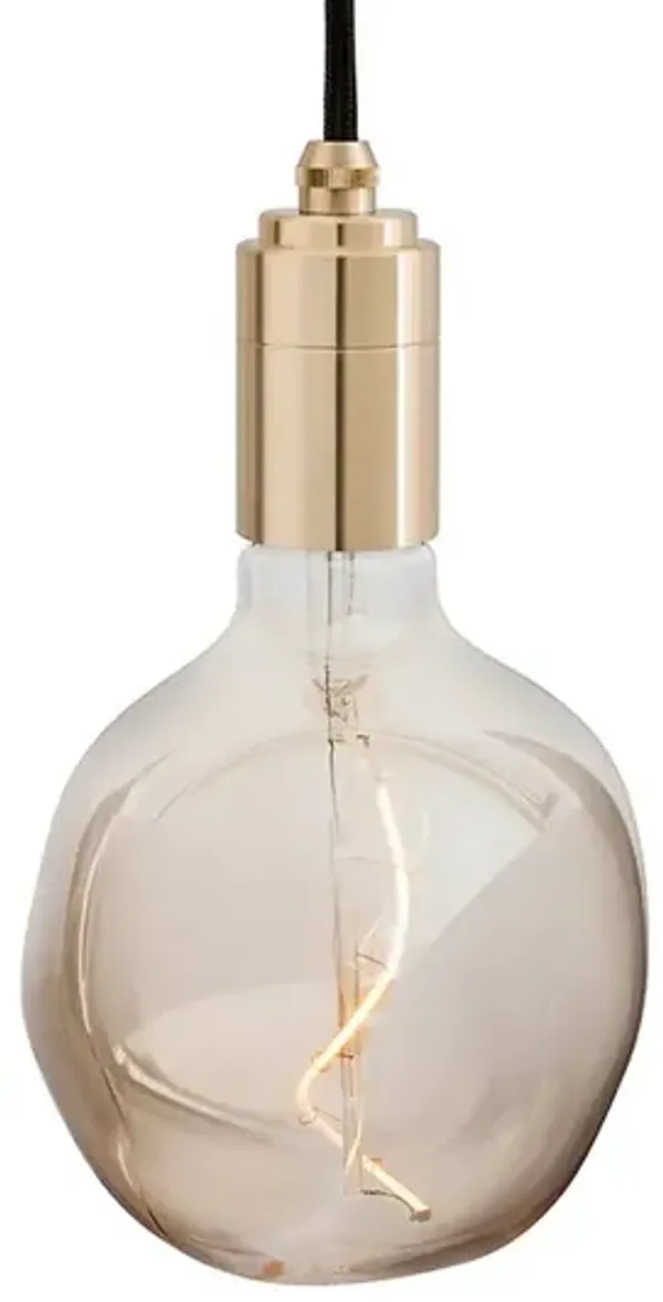 Voronoi I Brass Pendant - Brass - Tala Lighting