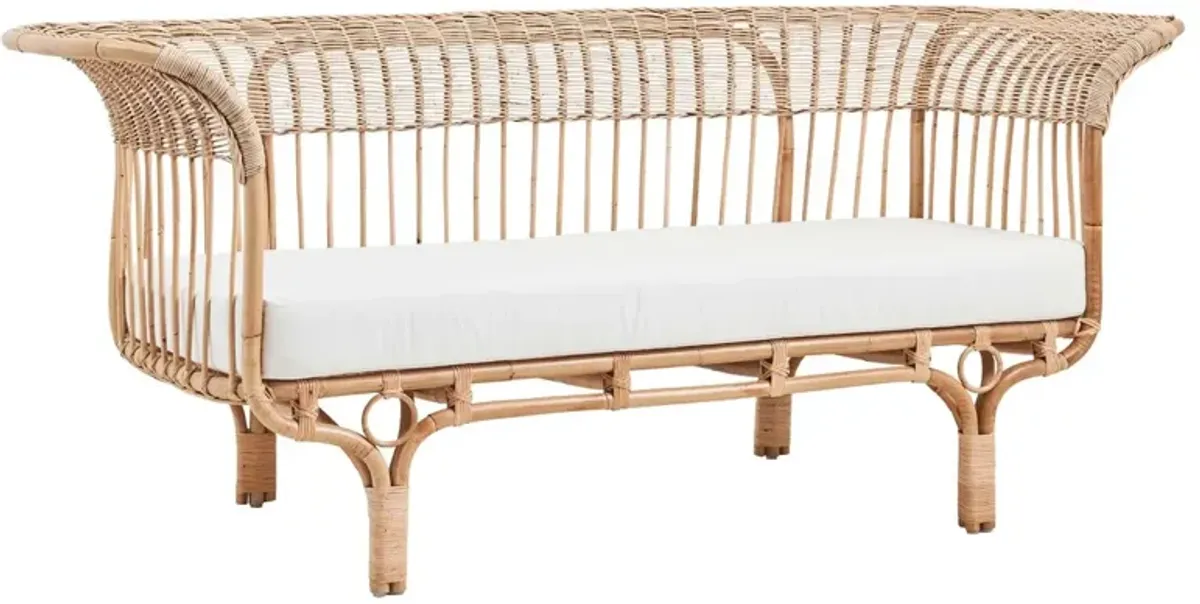 Franco Albini Sofa, Natural/White