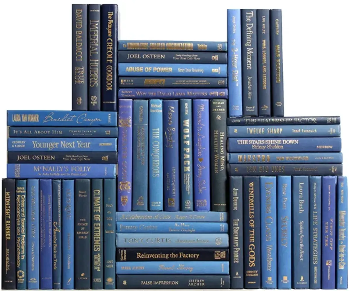 Set of 50 Decorative Book Wall, Denim/Gold
