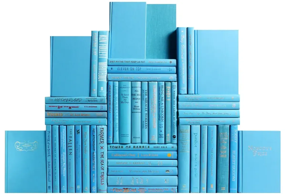 Set of 50 Decorative Book Wall, Sky