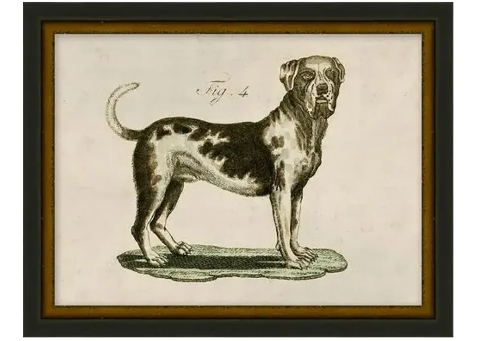 Lauren Liess - Antique Pup Sketch V - Black