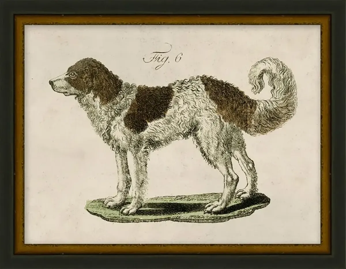 Lauren Liess, Antique Pup Sketch VI