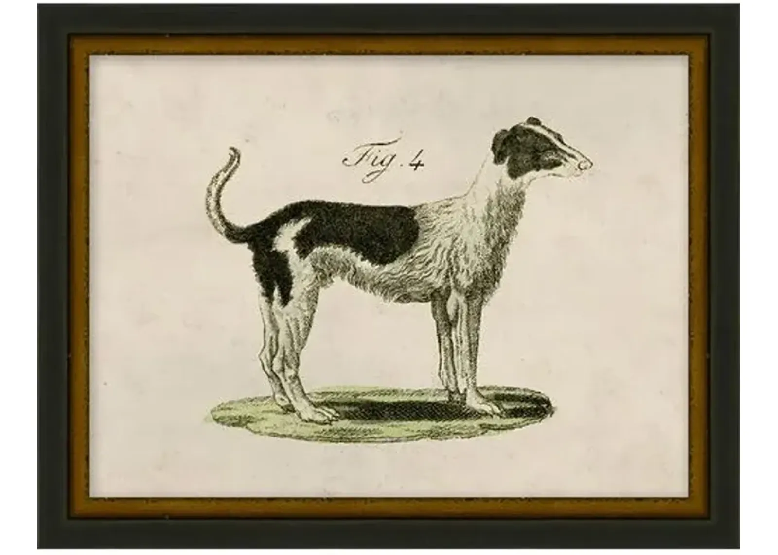 Lauren Liess - Antique Pup Sketch VII - Black