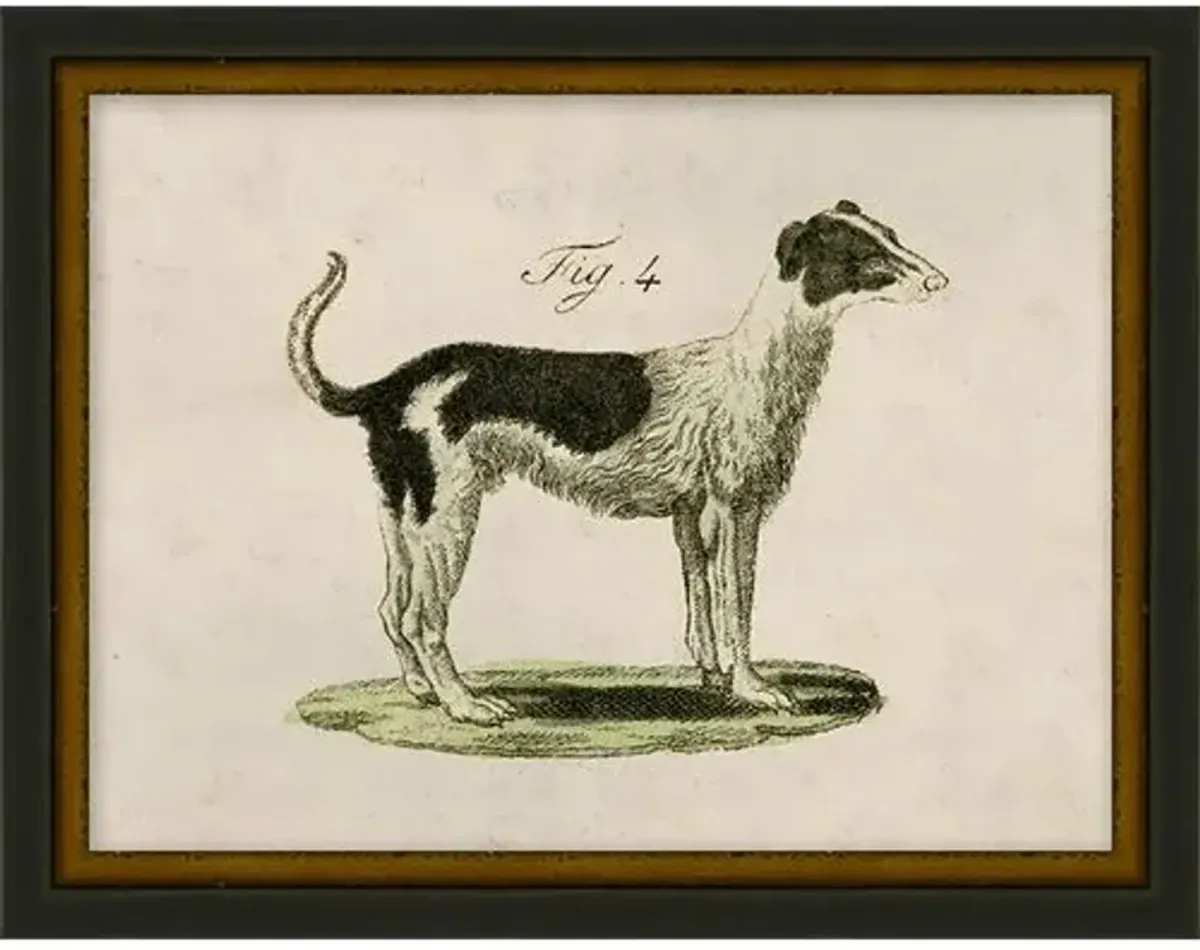 Lauren Liess - Antique Pup Sketch VII - Black