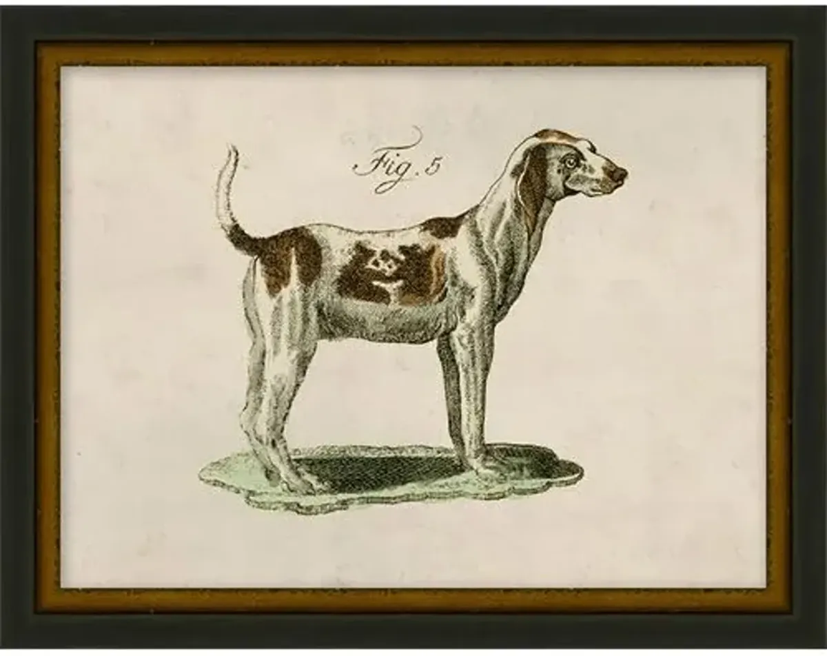 Lauren Liess - Antique Pup Sketch VIII - Black