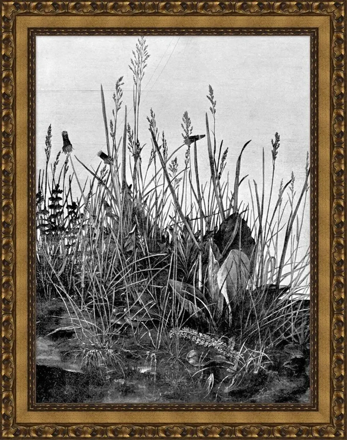 Lauren Liess, In the Reeds