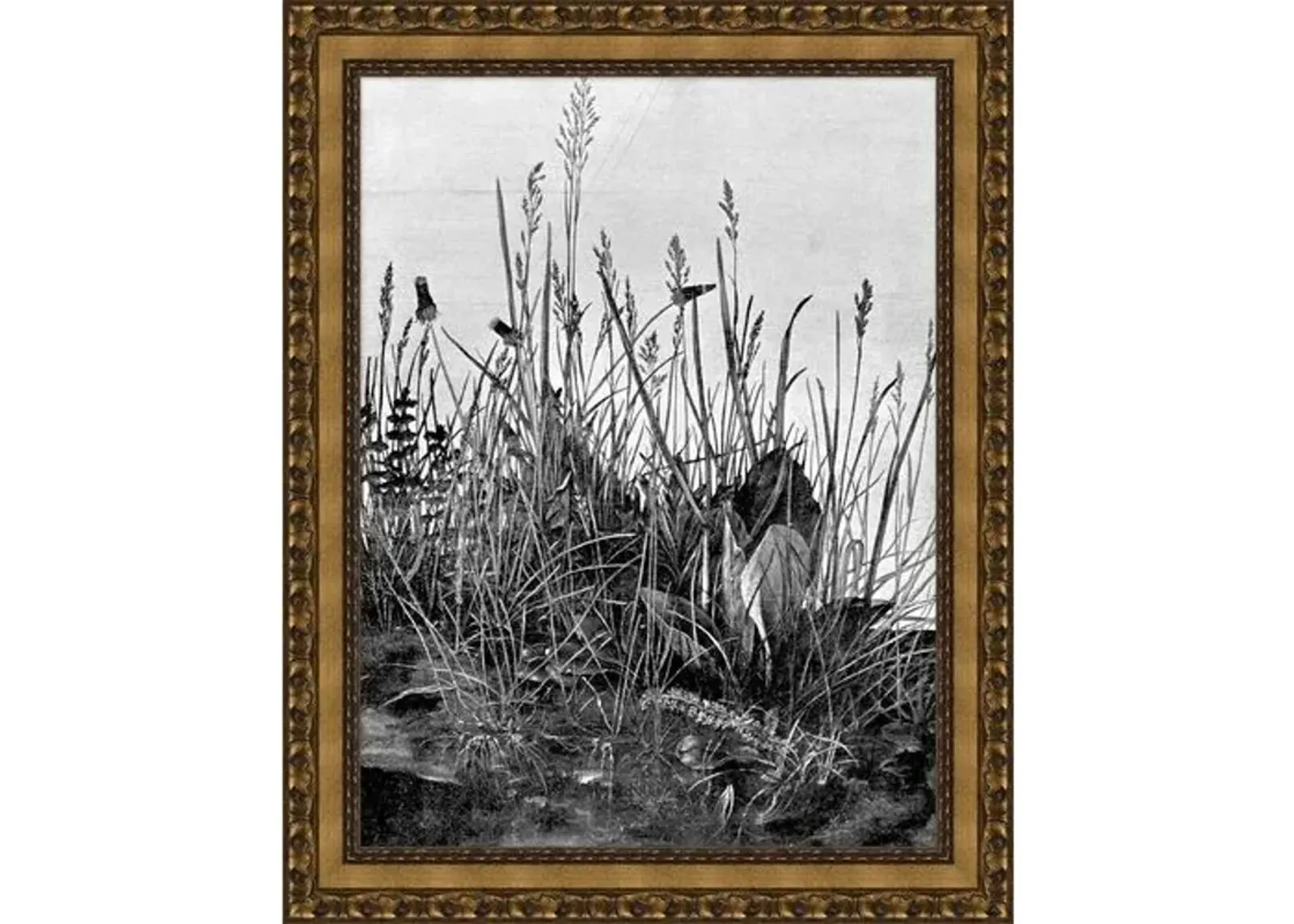 Lauren Liess - In the Reeds - Black