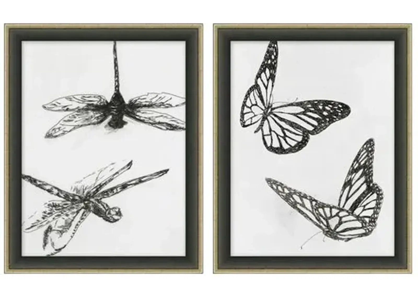 Lauren Liess - Insect Sketch Set - Black