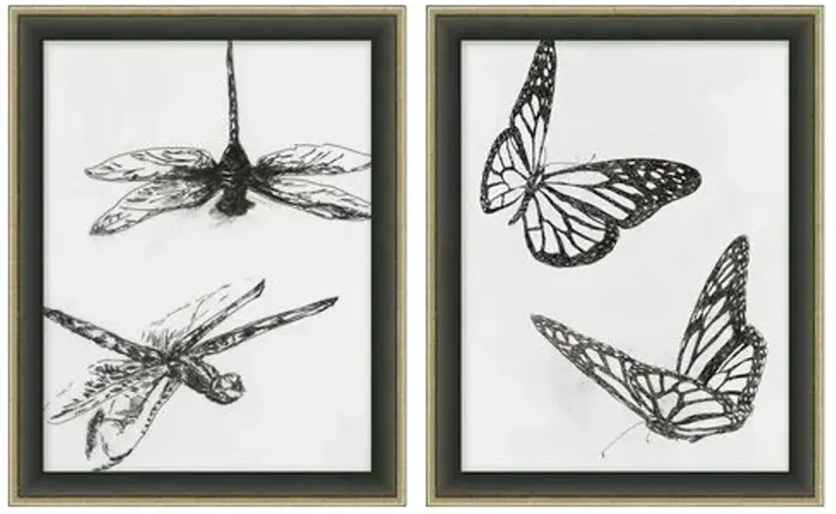 Lauren Liess - Insect Sketch Set - Black