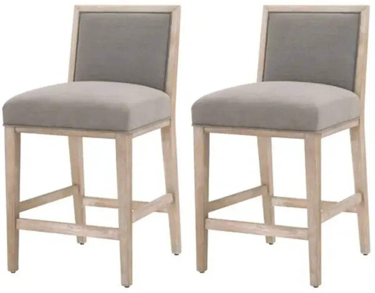 Set of 2 Performance Meredith Counter Stool - White/Brushed Brass