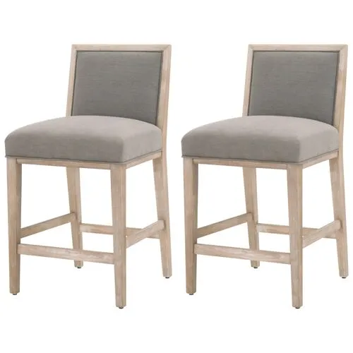 Set of 2 Performance Meredith Counter Stool - White/Brushed Brass