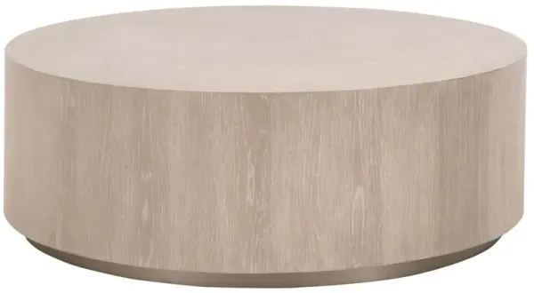 Eliza Oak Large Coffee Table, Natural Gray/Silver