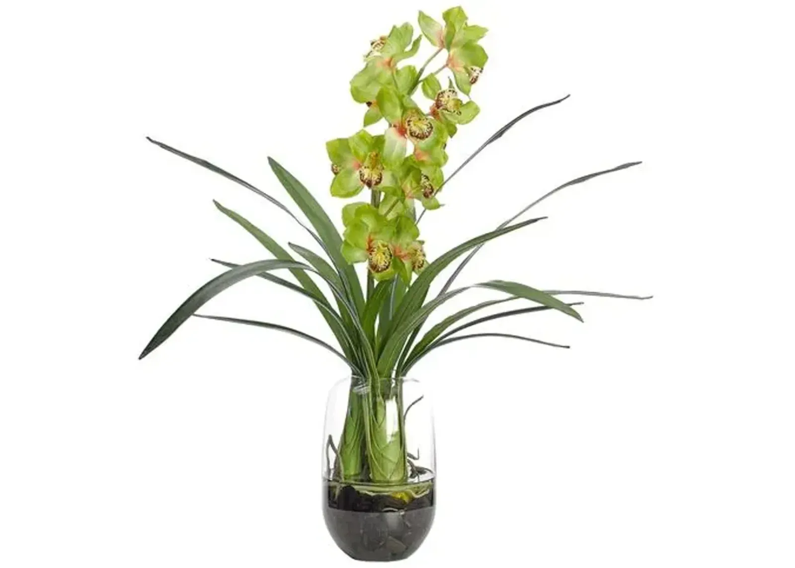 28" Orchid in Glass Vase - Faux - NDI - Green