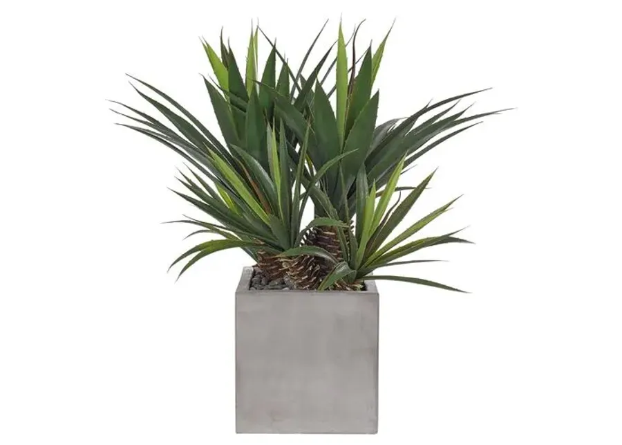 28" Aloe Plant in Concrete Cube - Faux - NDI - Green