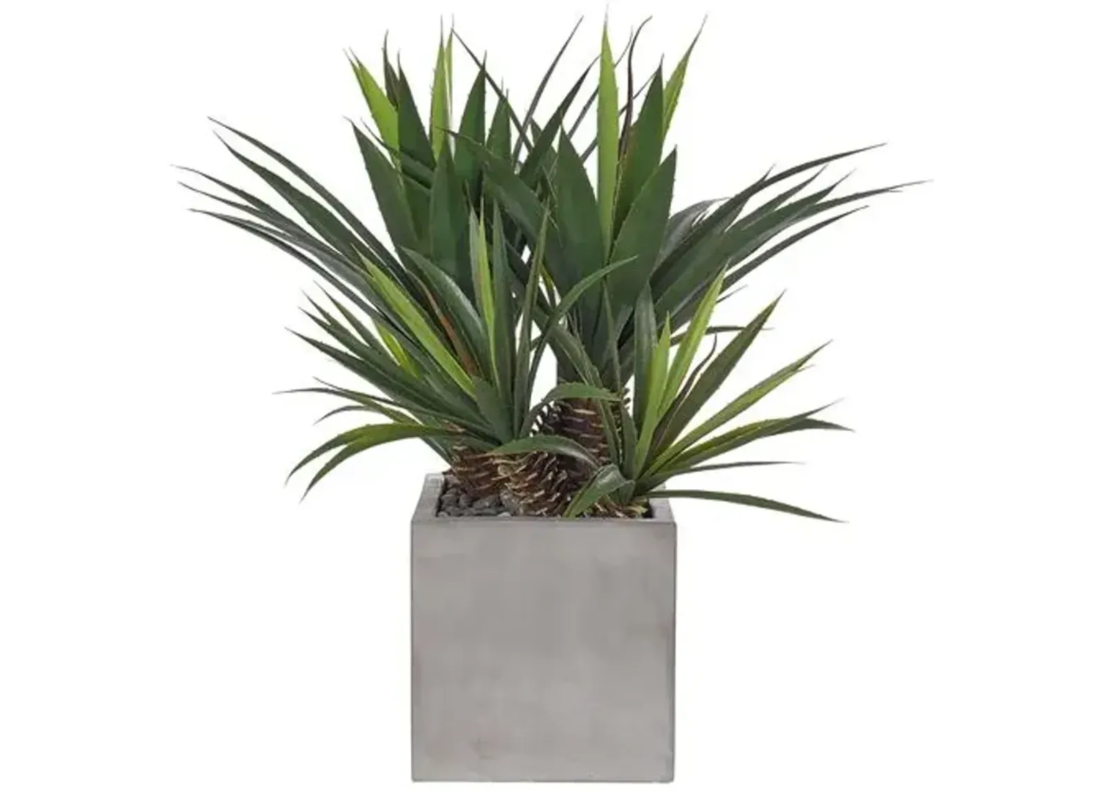 28" Aloe Plant in Concrete Cube - Faux - NDI - Green