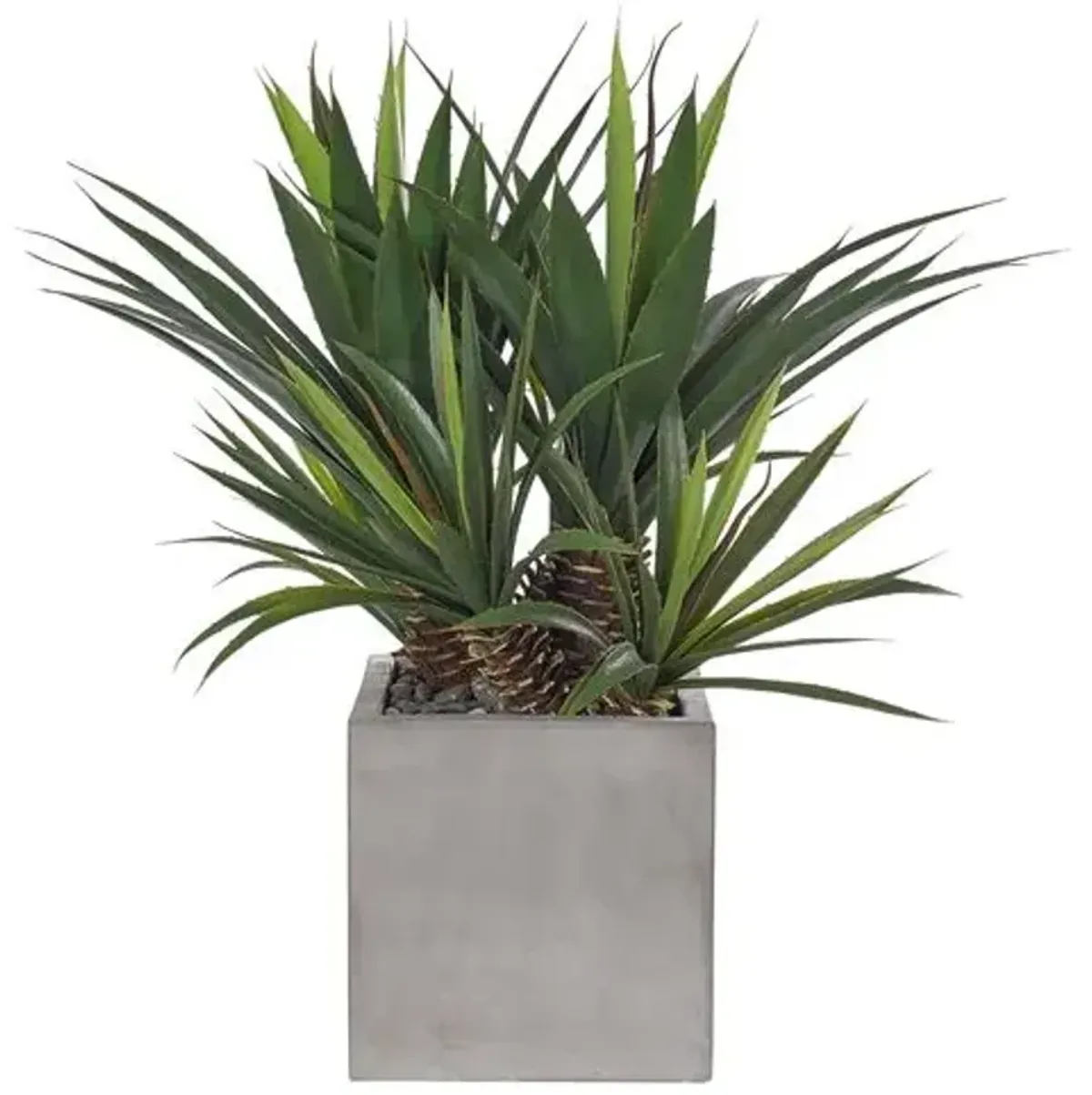 28" Aloe Plant in Concrete Cube - Faux - NDI - Green