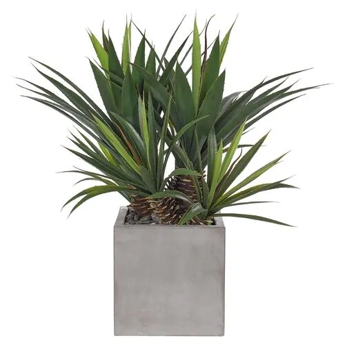 28" Aloe Plant in Concrete Cube - Faux - NDI - Green