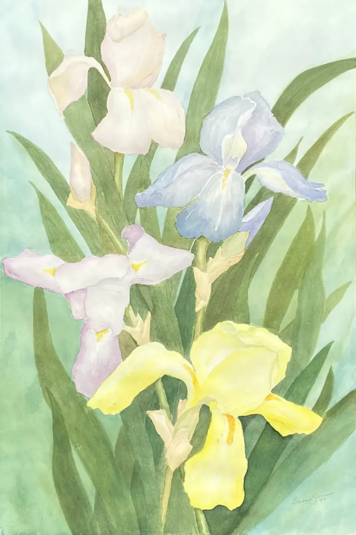 Irises by Barbara Jamison - 1992 - McNaught Fine Art - Green