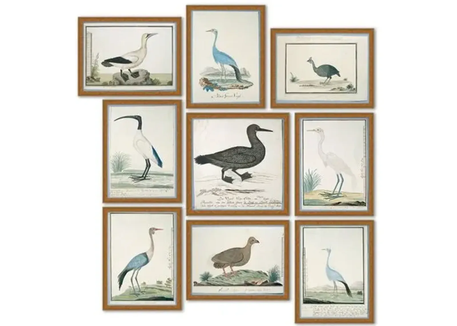 Set of 9 - Coastal Birds - Soicher Marin - Gold