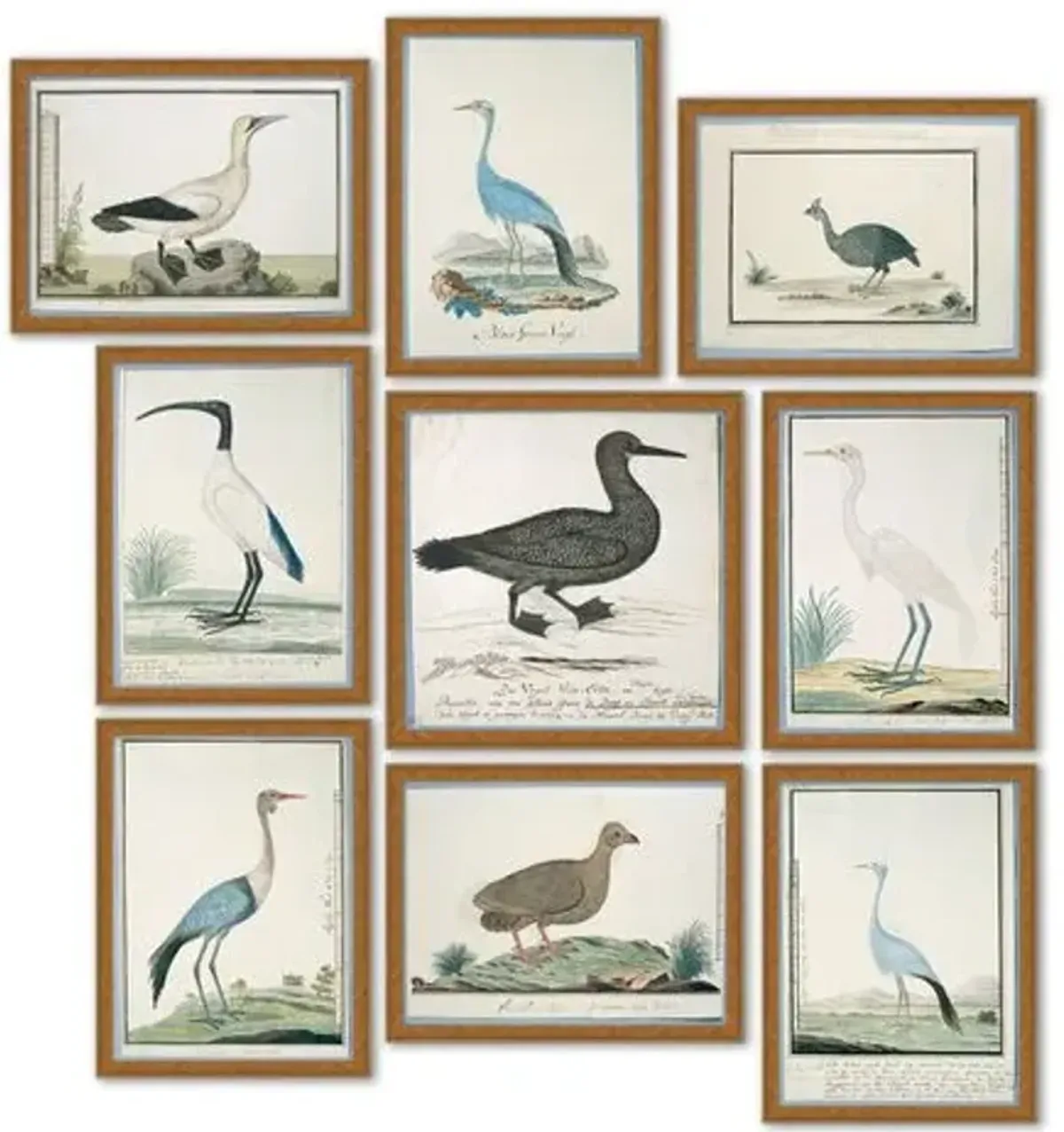 Set of 9 - Coastal Birds - Soicher Marin - Gold