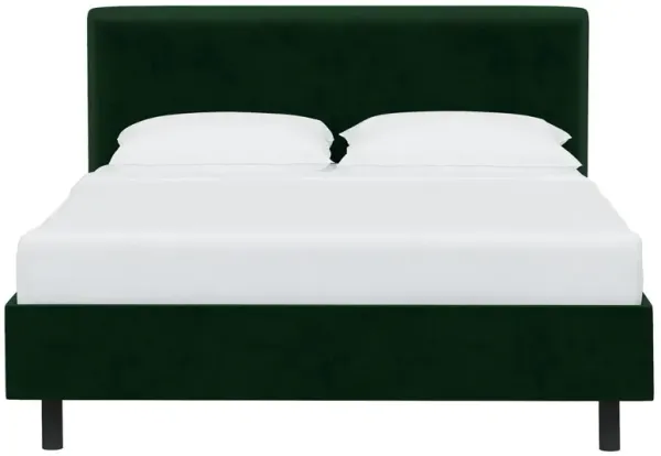Novak Velvet Platform Bed
