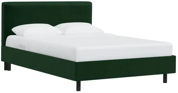 Novak Velvet Platform Bed