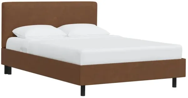 Novak Faux Leather Bed